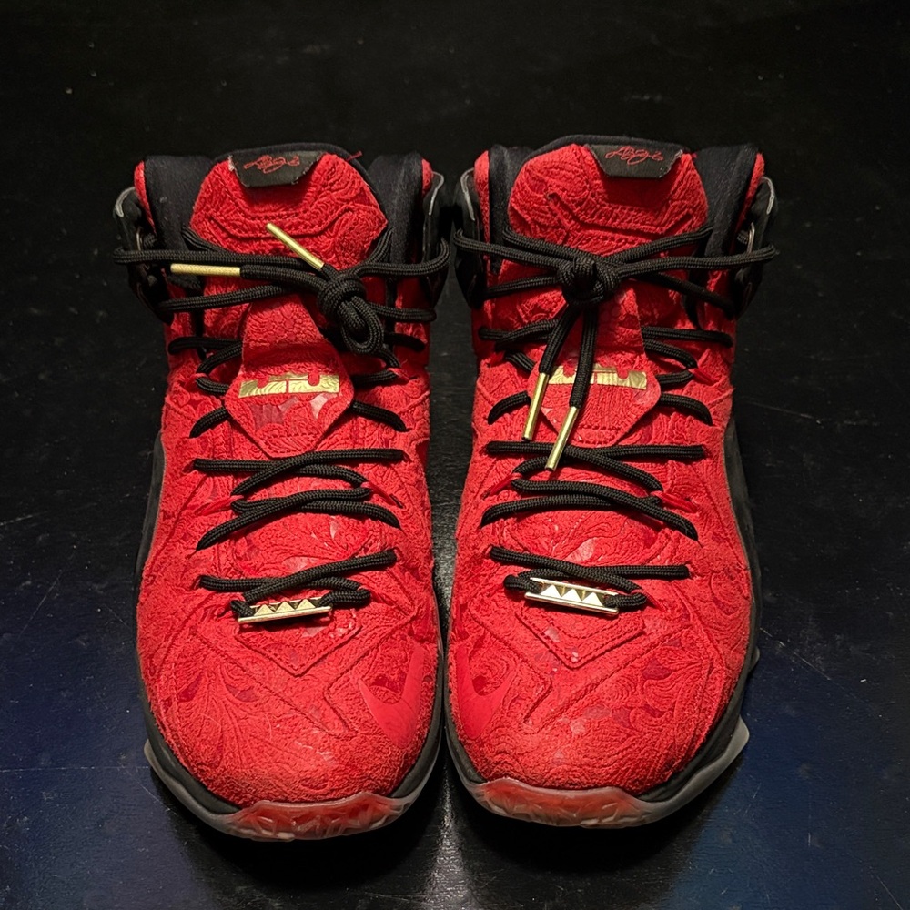 LeBron King Cloak **NO BOX**